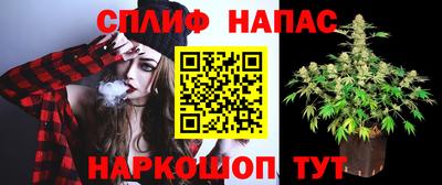 наркотики Кингисепп