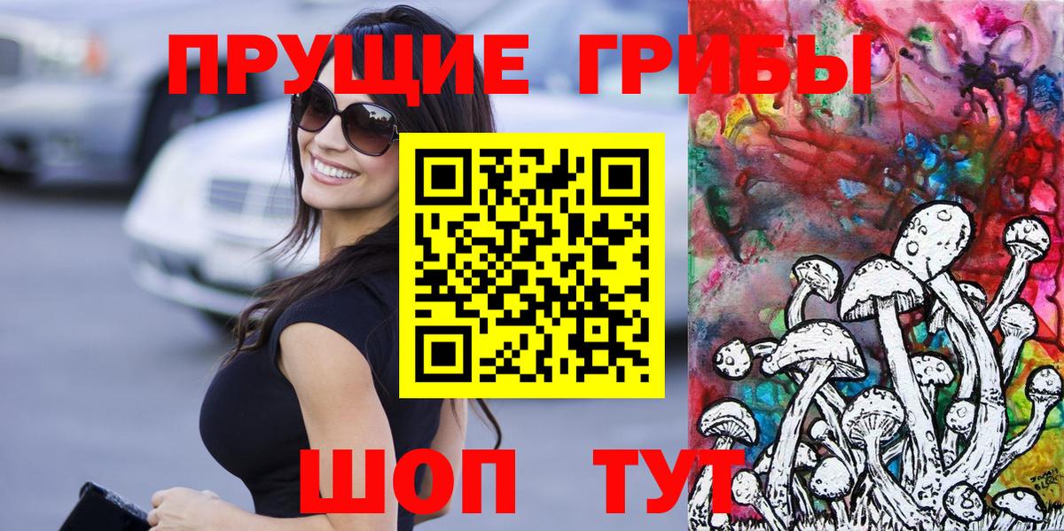 Чебаркуль  наркота  Галлюциногенные грибы Psilocybine cubensis  Вход с VPN  Галлюциногенные грибы мицелий 